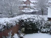 Highlight for Album: Snow Flurries - April 2008