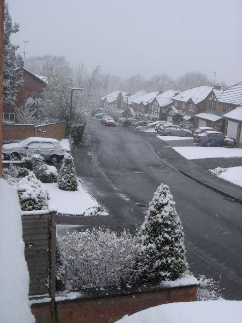 DSC05887.JPG
