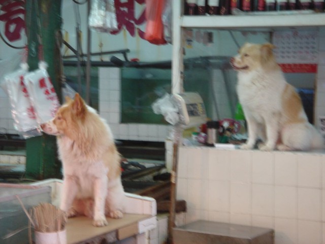 DSC08198.JPG