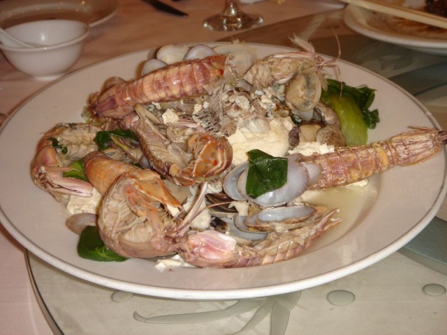 DSC08209.JPG