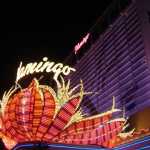 A different look up towards the Flamingo Hotel