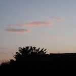 IMG_3501.JPG