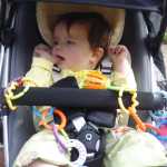 DSC06756.JPG