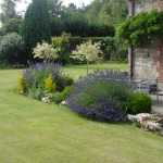 DSC06758.JPG