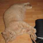 IMG_2797.JPG
