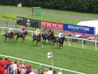 Highlight for Album: Team-Day at the Races - 6th August 2009