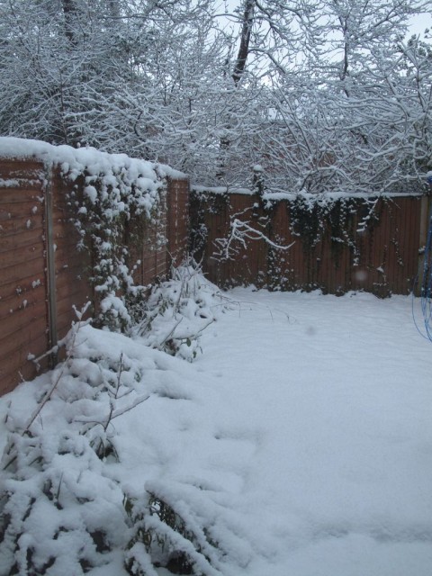 IMG_1137.JPG