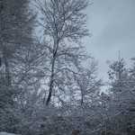 IMG_1138.JPG