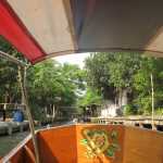 IMG_1575.JPG