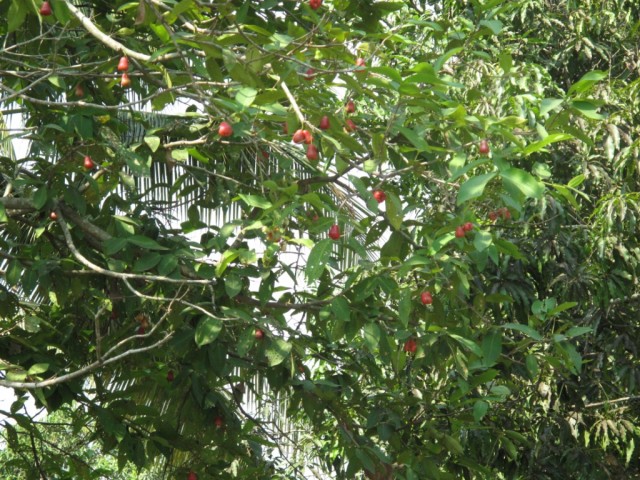 IMG_1664.JPG