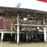 IMG_1668.JPG