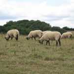 The customer's in this project look slightly different than our usual Amex customers :)