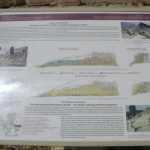 DSC02529.JPG