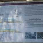 DSC02537.JPG