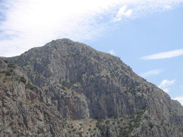 DSC03496.JPG