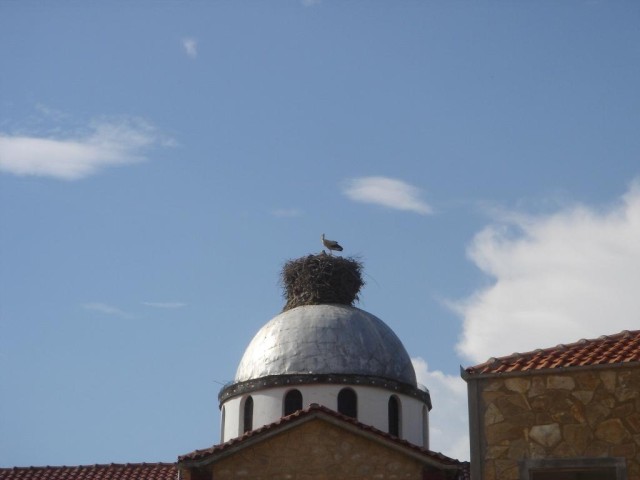 DSC03542.JPG