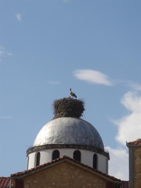 DSC03543.JPG