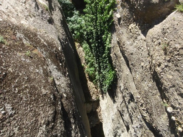 DSC03713.JPG