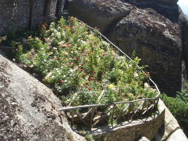 DSC03725.JPG