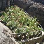 DSC03725.JPG