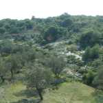 DSC02454.JPG