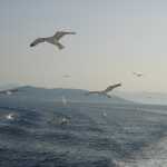 DSC02498.JPG