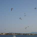 DSC02503.JPG