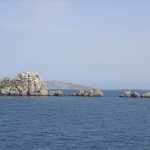 DSC02370.JPG