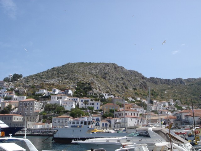 DSC02422.JPG