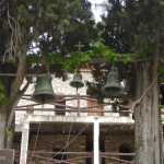 DSC02713.JPG