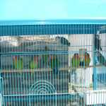 DSC02715.JPG