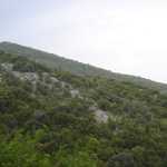 DSC02719.JPG