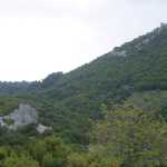 DSC02724.JPG