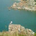 Image033.jpg