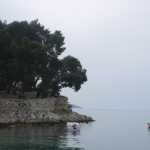 DSC02690.JPG