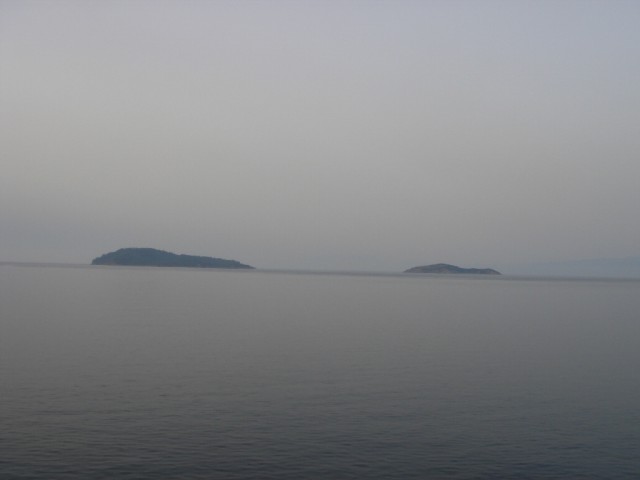 DSC02738.JPG