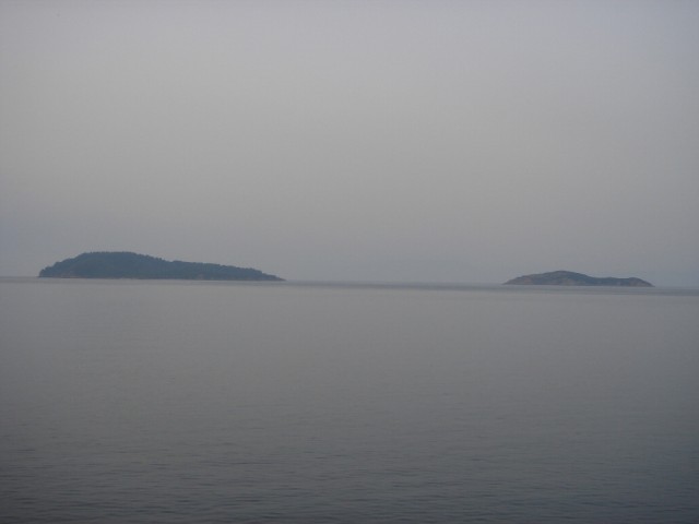 DSC02739.JPG