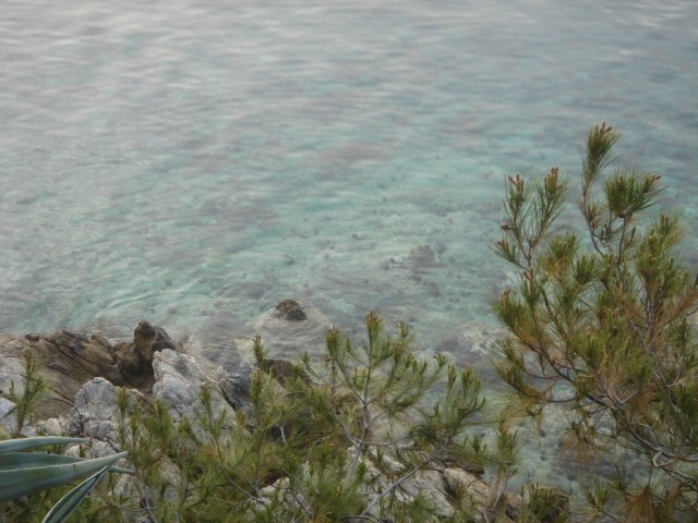 DSC02746.JPG