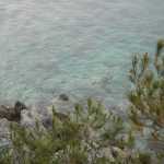 DSC02746.JPG