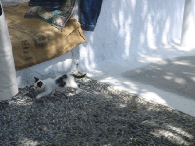 DSC03274.JPG
