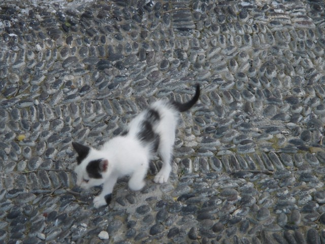 DSC03276.JPG
