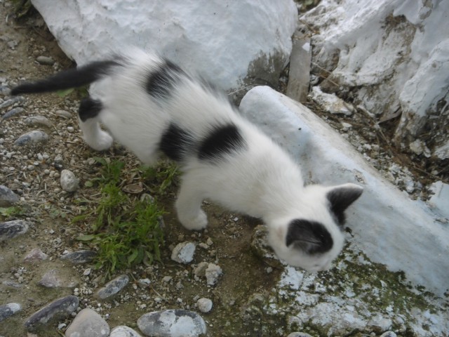 DSC03277.JPG