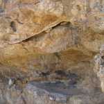 DSC03420.JPG
