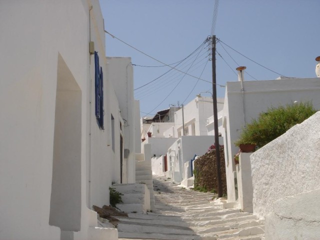 DSC03781.jpg