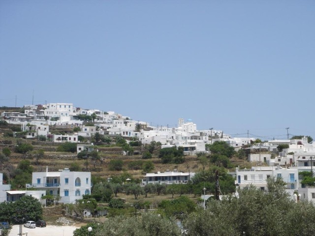 DSC03785.jpg