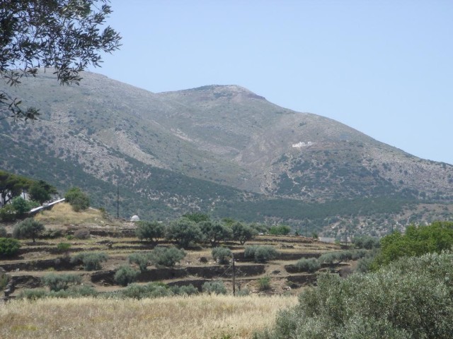 DSC03788.jpg