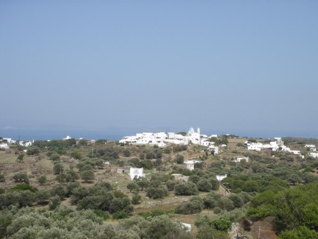 DSC03802.jpg