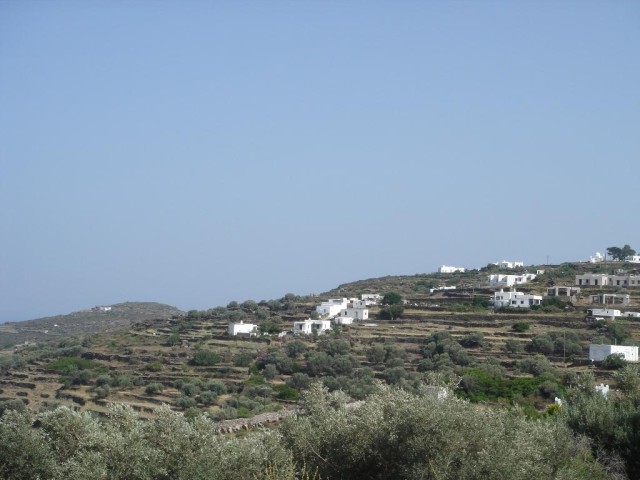 DSC03806.jpg