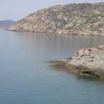 DSC03822.jpg