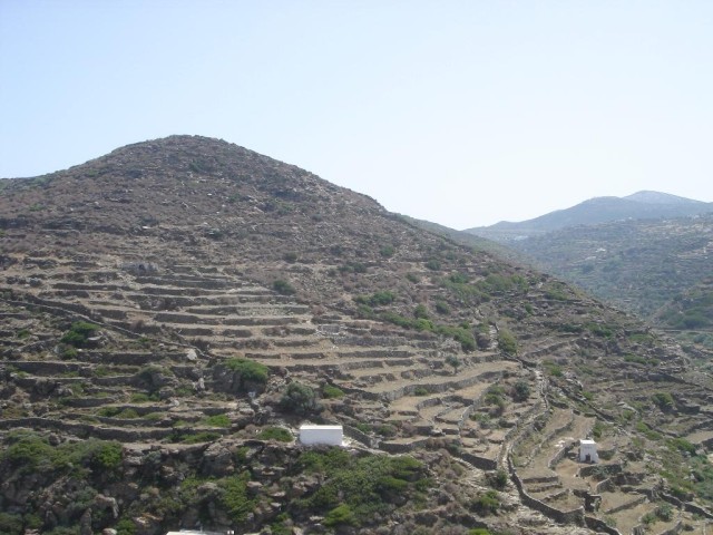 DSC03854.jpg